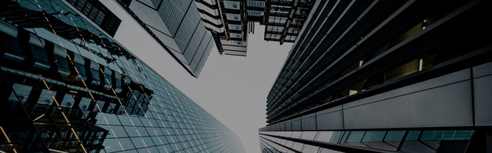 Company Growth